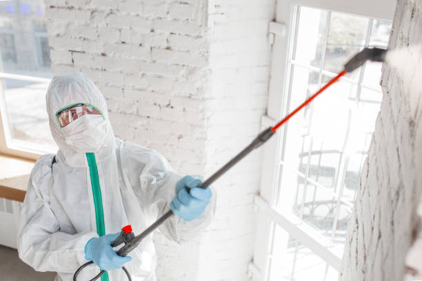 Mold Removal for HVAC Installations in Richmond, MO